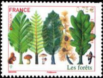 Europa les forêts