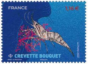 Crevette Bouquet