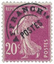type semeuse camée surchargé