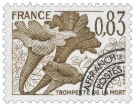 TROMPETTE DE LA MORT