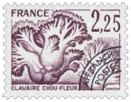 CLAVAIRE CHOU-FLEUR