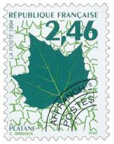 PLATANE