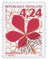 MARRONNIER