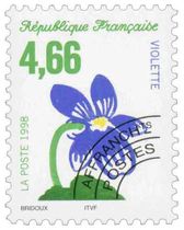 VIOLETTE