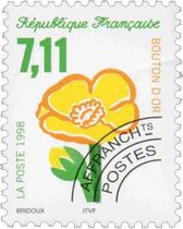 BOUTON D'OR