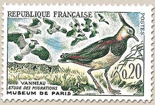VANNEAUX ÉTUDE DES MIGRATIONS MUSÉUM DE PARIS