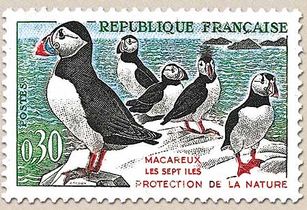 MACAREUX LES SEPT ILES PROTECTION DE LA NATURE