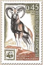 FONDS MONDIAL POUR LA NATURE MOUFLON MÉDITERRANÉEN