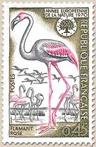 ANNÉE EUROPÉENNE DE LA NATURE 1970 FLAMANT ROSE