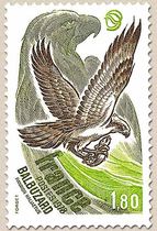 BALBUZARD PANDION HALIAETUS