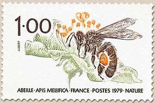 ABEILLE - APIS MELLIFICA - NATURE