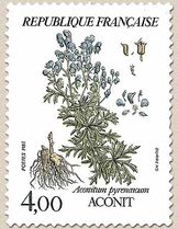 ACONIT Aconitum pyrenaicum
