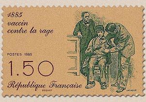 vaccin contre la rage