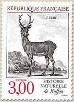 HISTOIRE NATURELLE de Buffon LE CERF