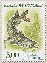 BROCHET Esox lucius
