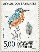 LE MARTIN-PÊCHEUR Alcedo atthis
