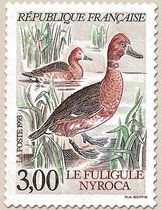 LE FULIGULE NYROCA