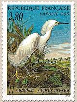 J.J. Audubon Aigrette neigeuse