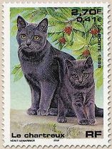 Le chartreux