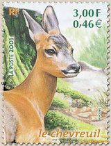 le chevreuil