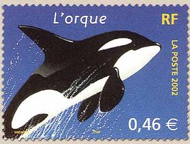 L'orque