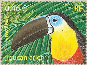 Toucan ariel