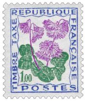 Soldanelle des Alpes