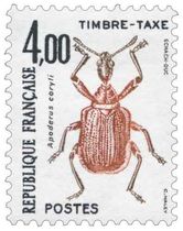 Apoderus coryli