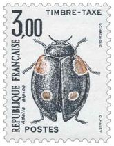 Adalia alpina