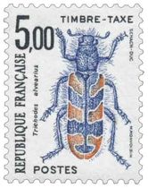 Trichodes alvearius