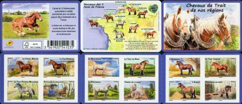 Chevaux de Trait de nos régions