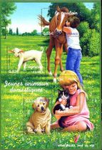 Jeunes animaux domestiques