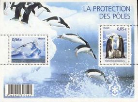 LA PROTECTION DES PÔLES