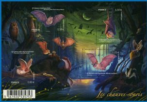 Les chauves-souris