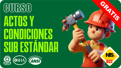 CURSO ACTOS Y CONDICIONES SUB ESTÁNDAR