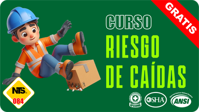 CURSO RIESGOS DE CAÍDAS