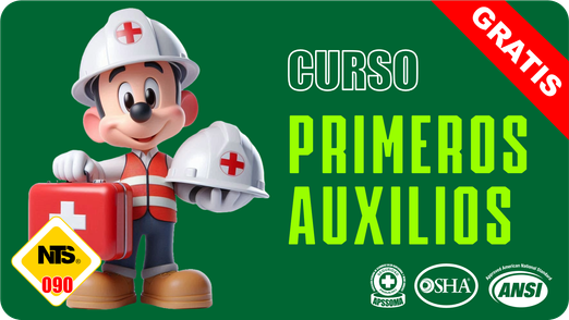 Curso Trabajos en Altura