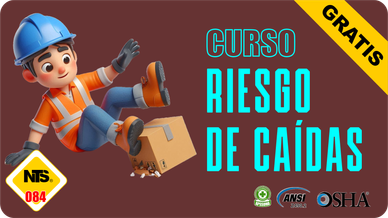 CURSO RIESGO DE CAÍDAS 