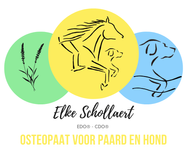 Elke Schollaert paardenosteopaat hondenosteopaat aquatraining 