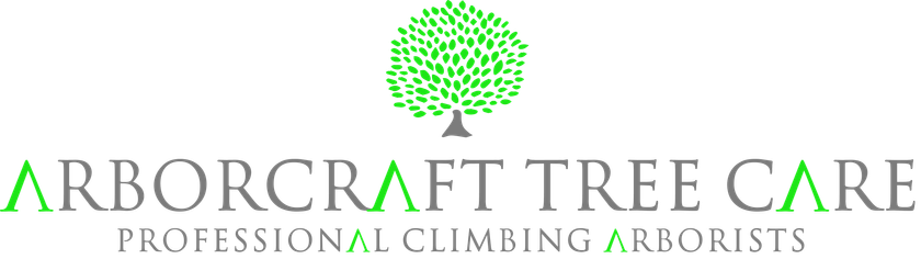 Arborcraft Tree Care - Tree Surgeon and climbing arborist logo