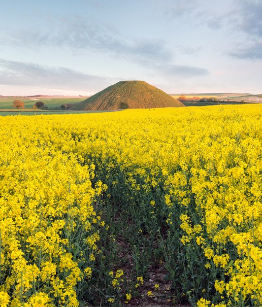 stonehenge and avebury tour