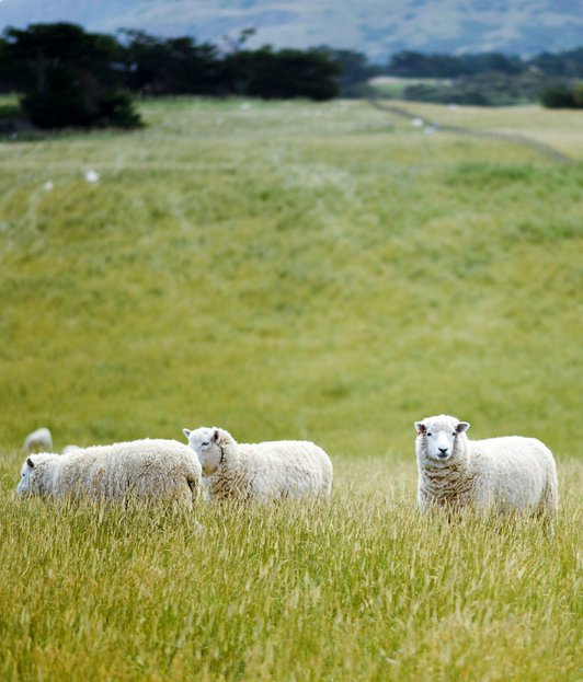 london to stonehenge tour