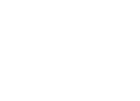 Arc Initiative