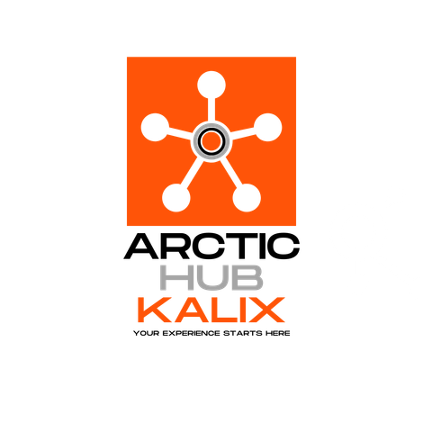 ARCTIC HUB