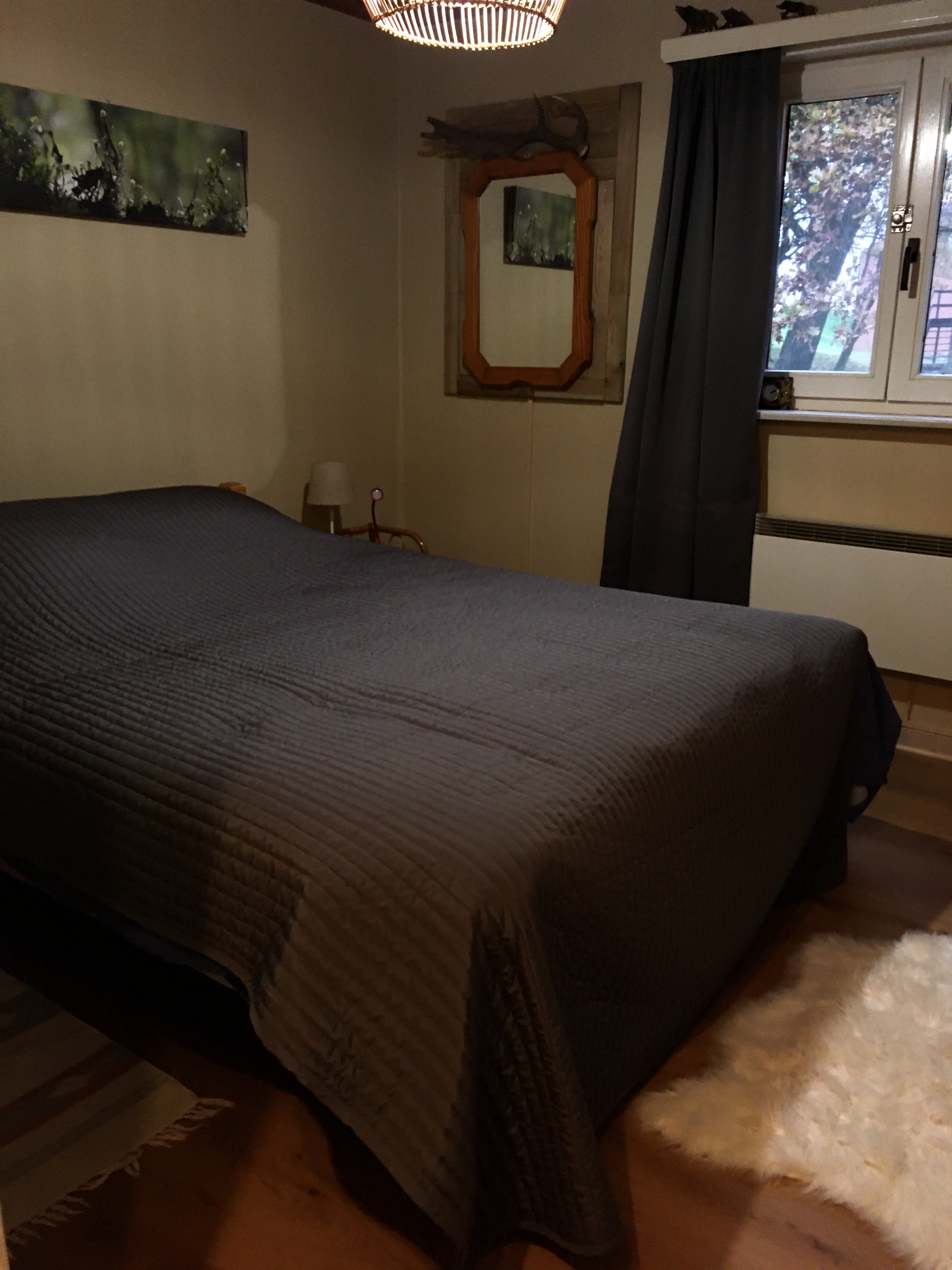 Chambre 2 - sanglier