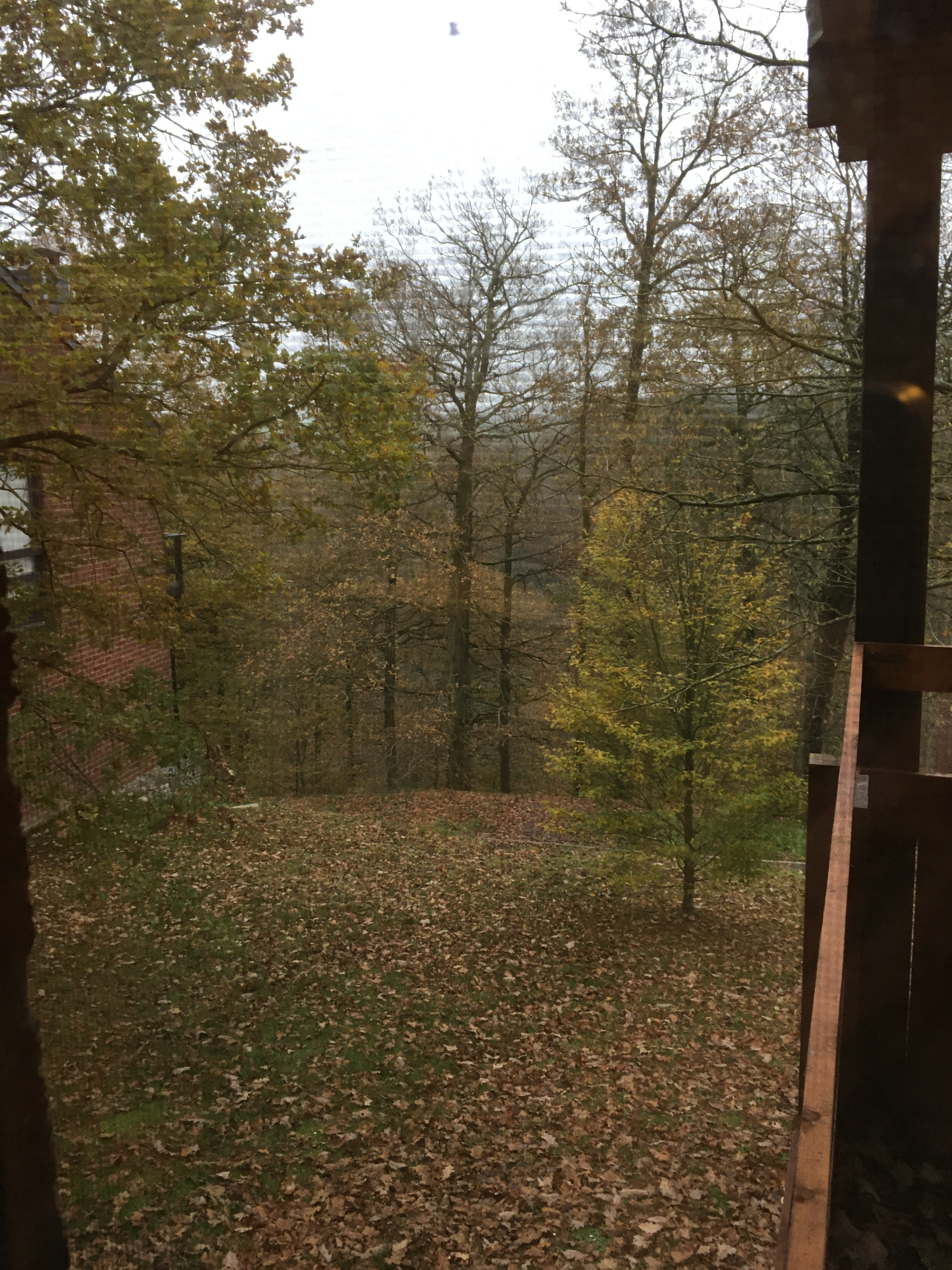 Chambre 3 - Renard : vue sur l'extérieur