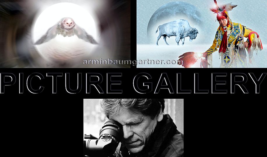 Picture Gallery