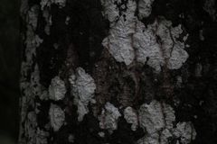 IMG_6401-1