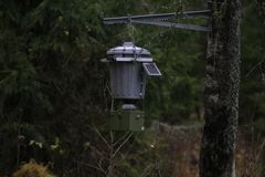 IMG_6404