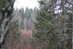 IMG_6406